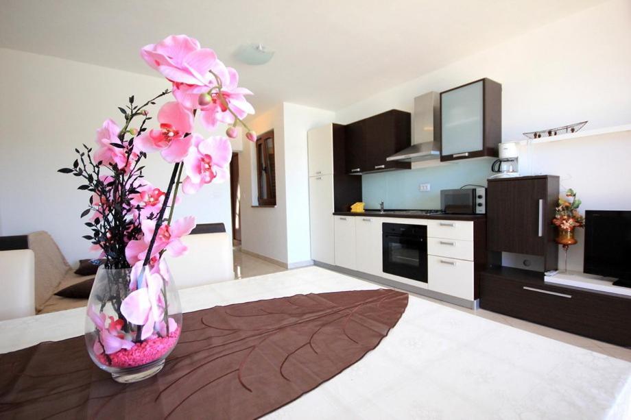 Vila Orada Molat Room photo